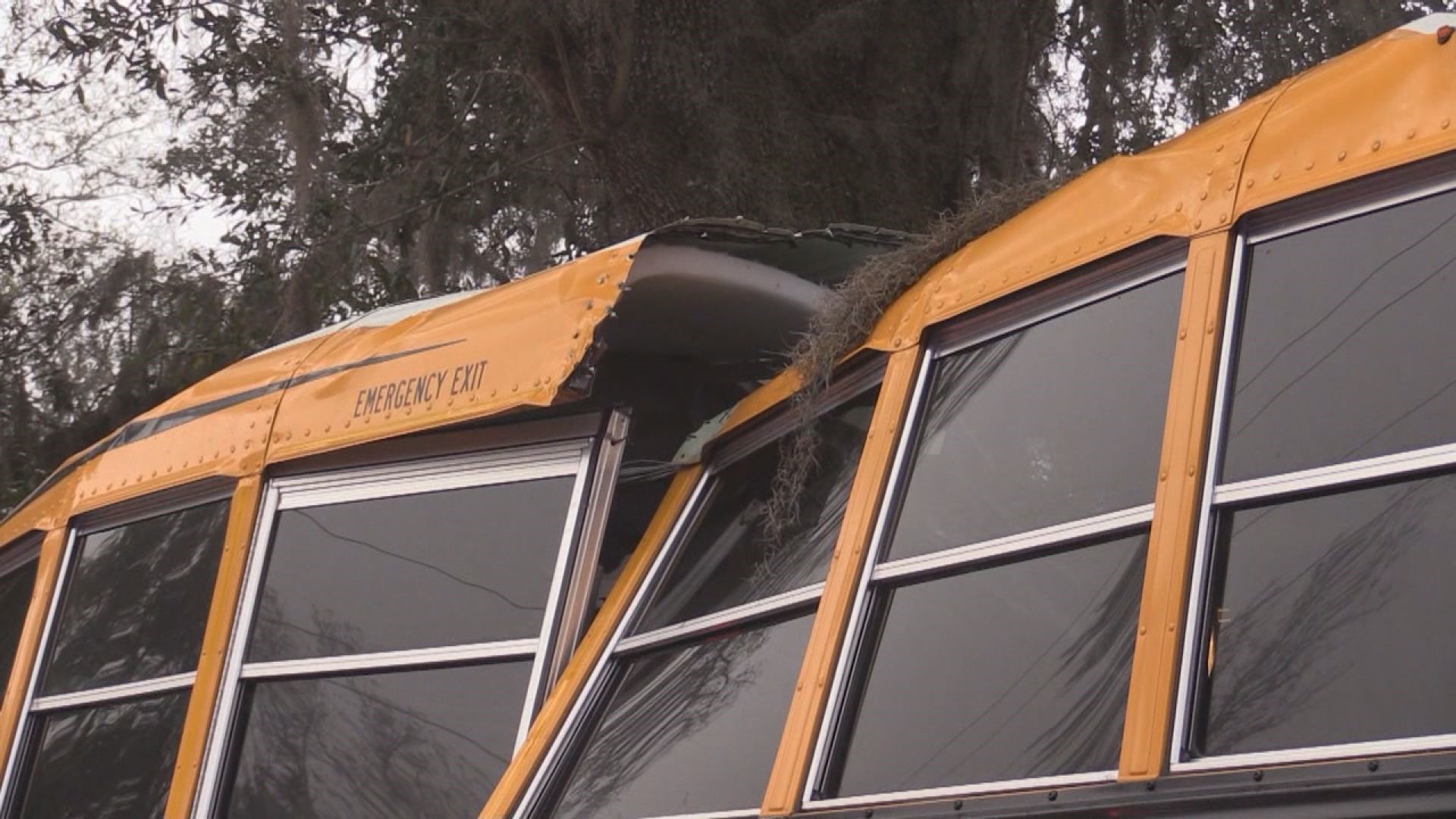 5-year-old girl dead, 21 children injured after school bus crashes into ...