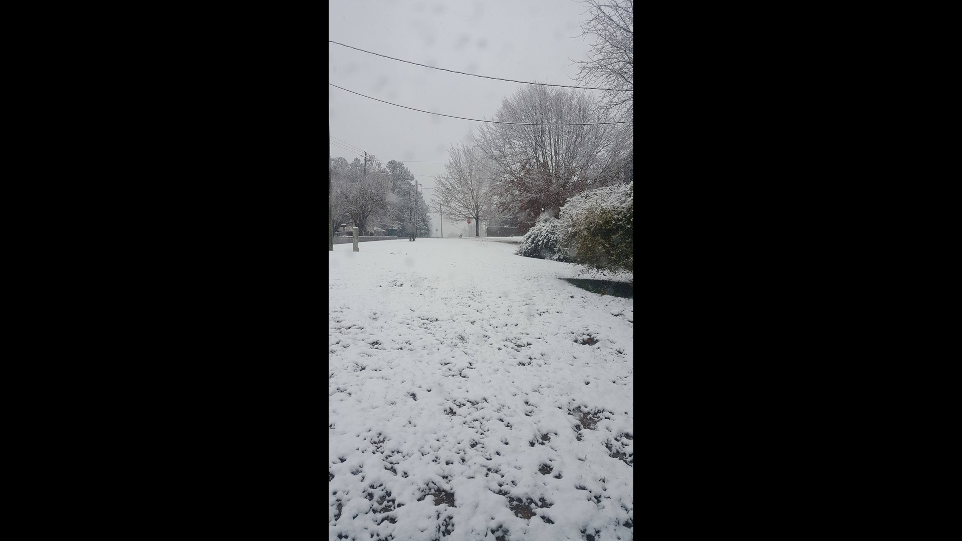 PHOTOS Snow in 2017!