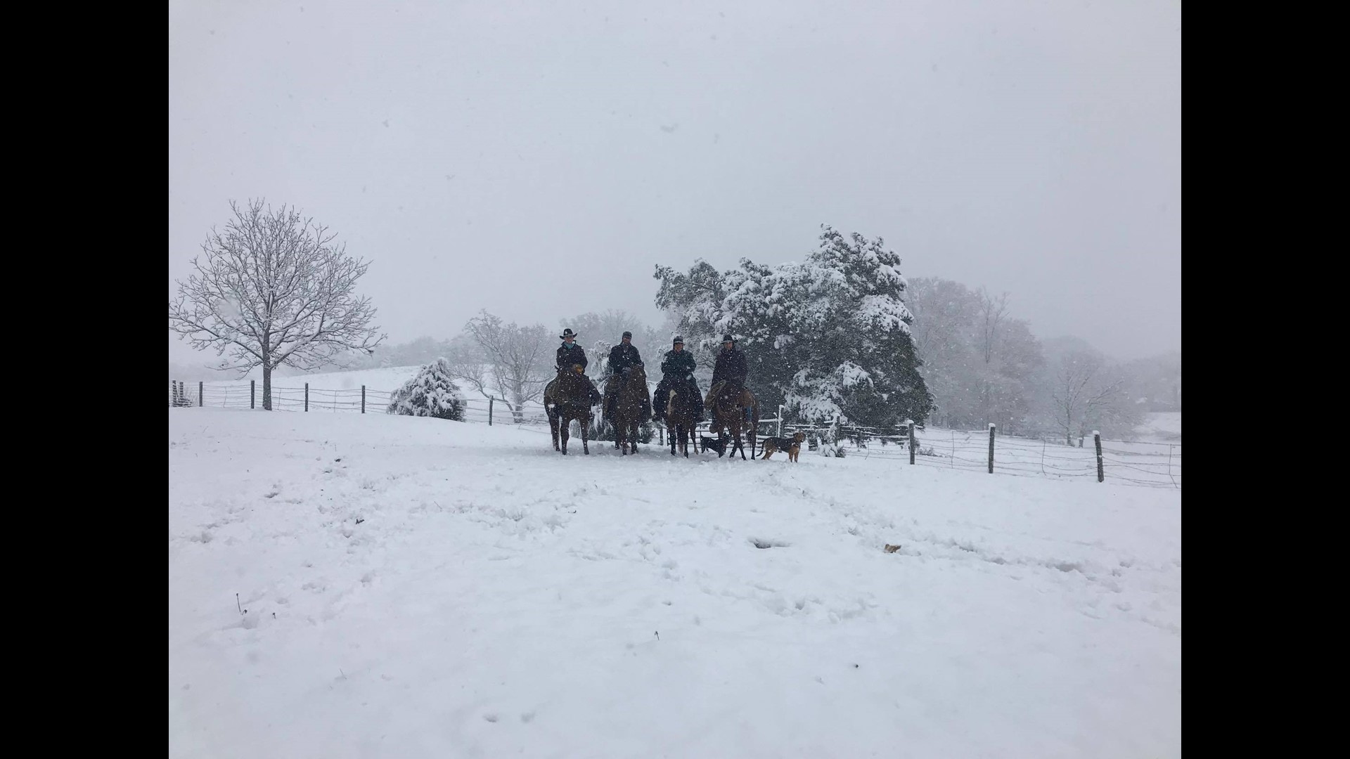 PHOTOS Snow in 2017!