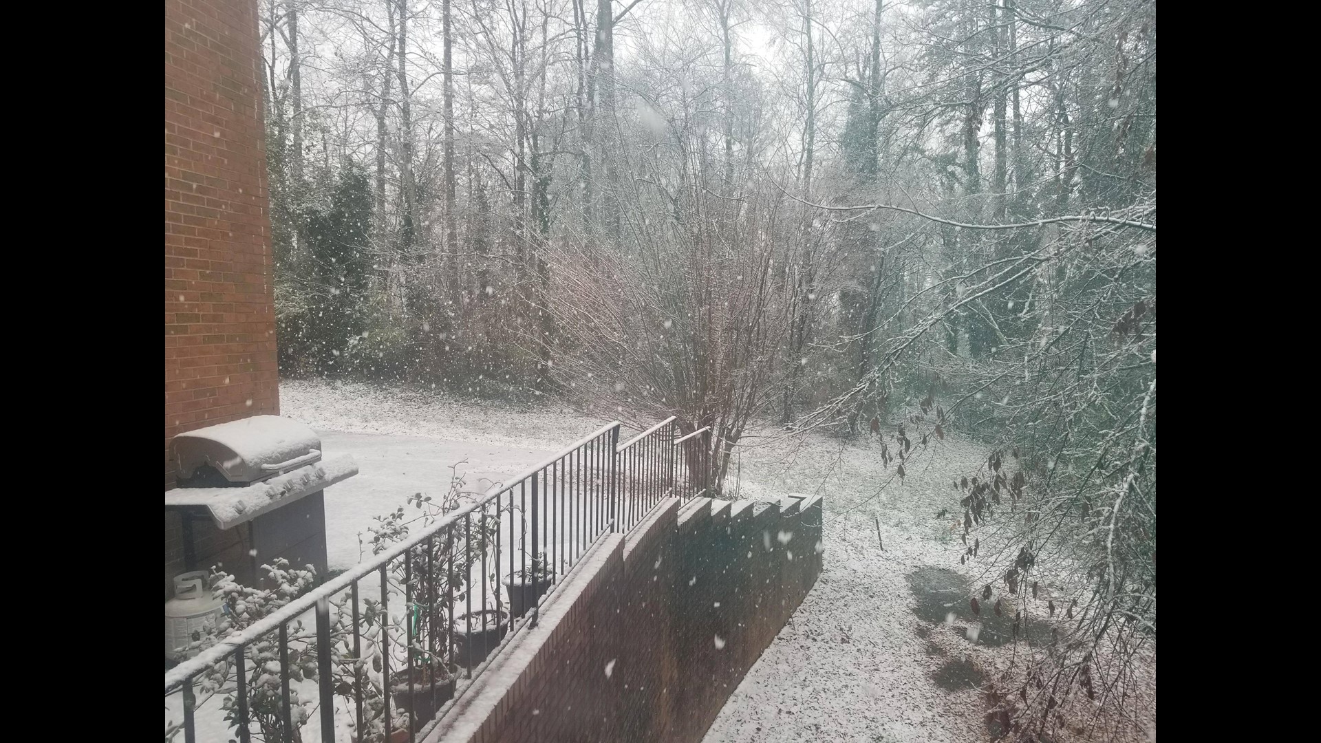 PHOTOS Snow in 2017!