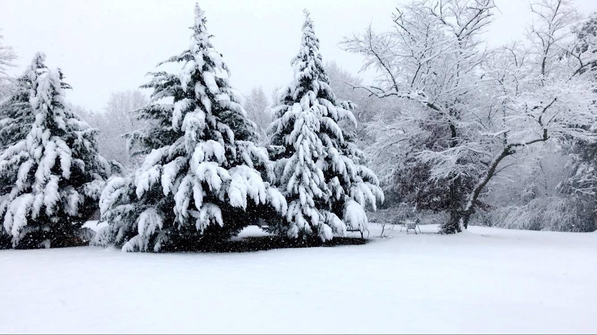 PHOTOS Snow in 2017!