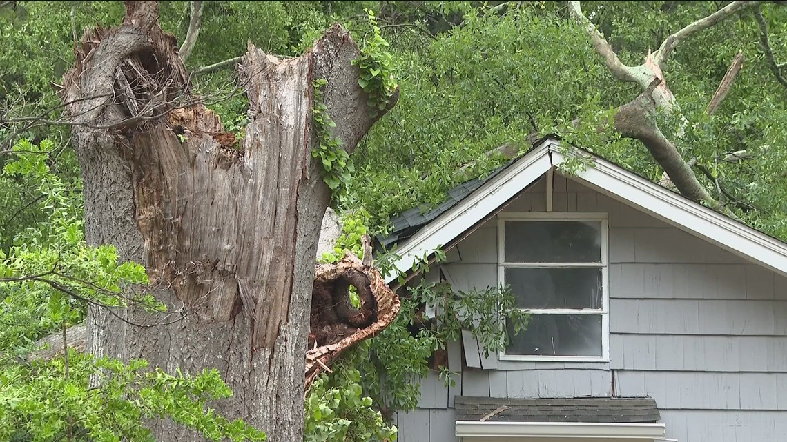 10-year-old killed after tree falls on southwest Atlanta home | 11alive.com