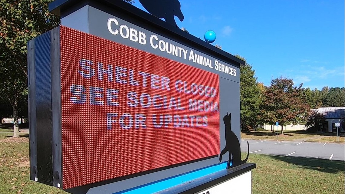 cobb county animal shelter