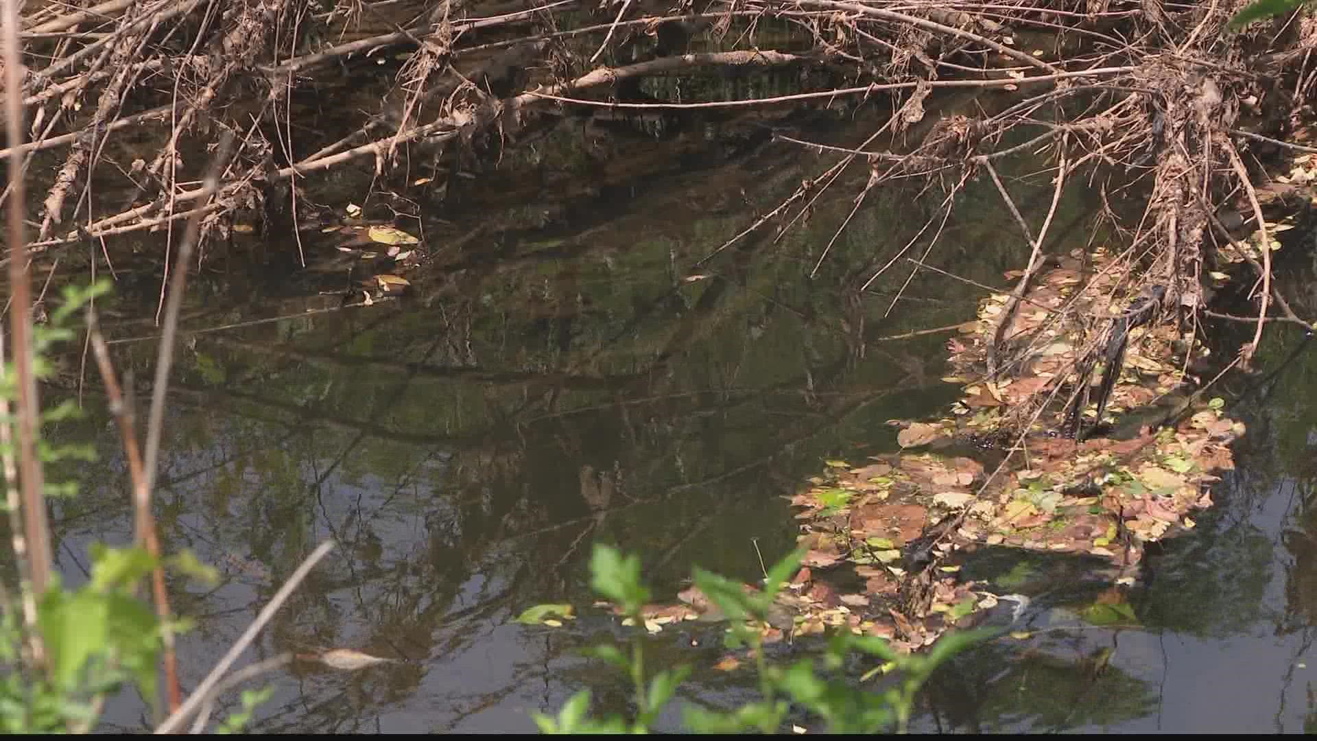 Riverkeeper: Despite spills, water is cleaner than 1990.