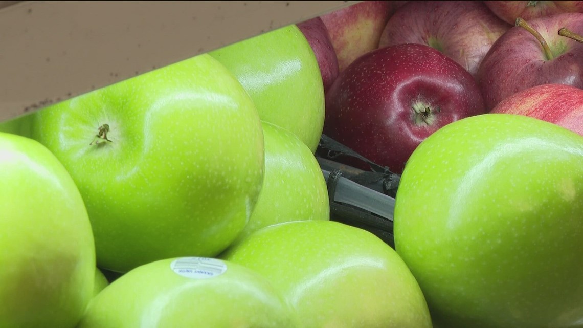 SNAP benefit backlog Documents reveal cause