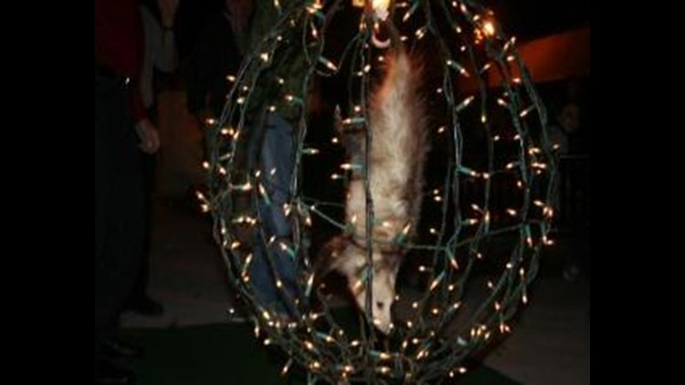 This Georgia city rings in the new year with a 'Possum Drop'