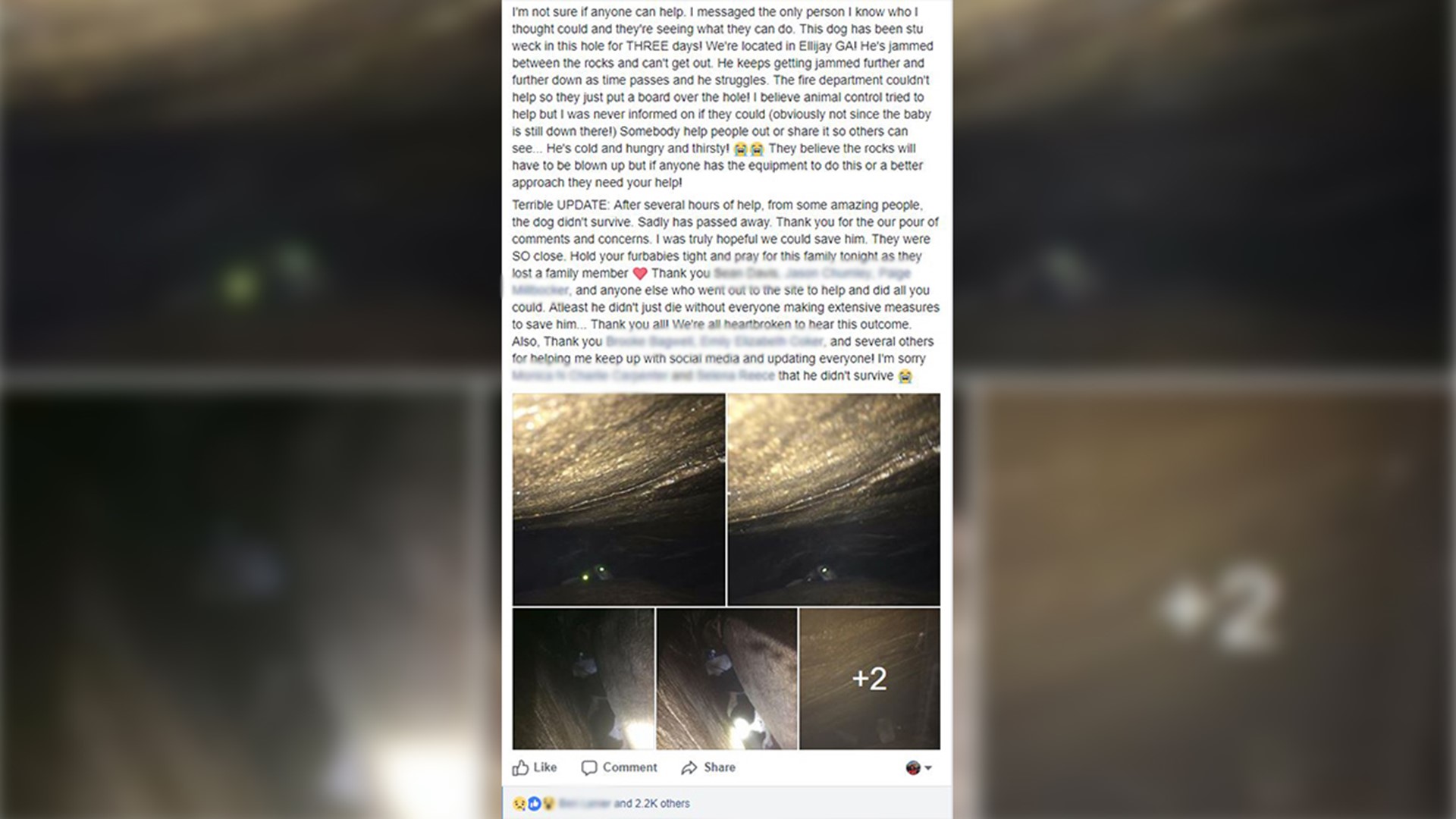 Dog trapped in Georgia cave for three days passes away | 11alive.com