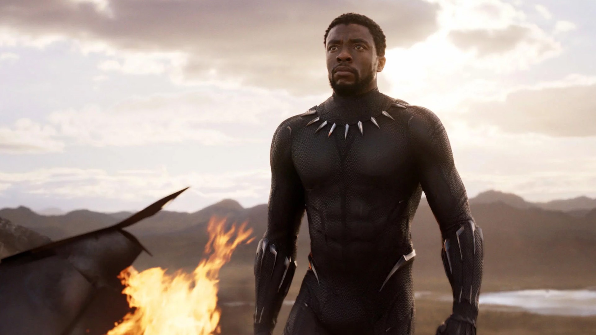 Boseman’s role as King T’challa in Black Panther became one of the most iconic images for young black people in America. You can see that with just how many tributes