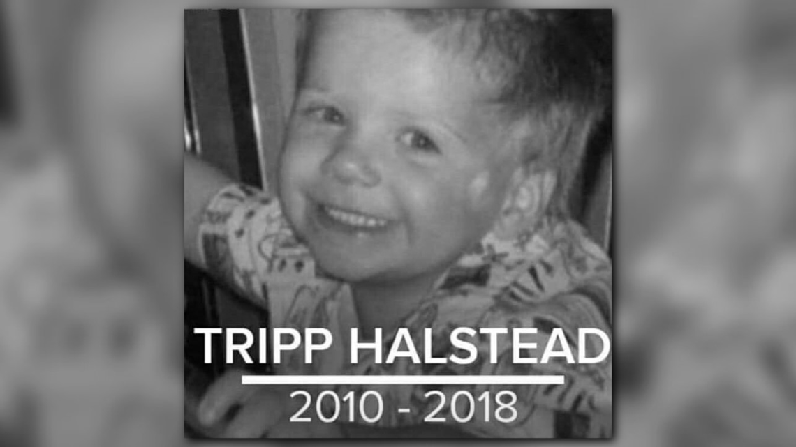 Tripp Halstead Facebook updates page hacked - Vimarsana News