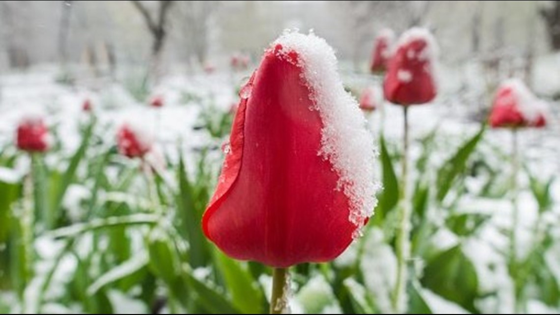Spring Having Cold Weather Are we really having colder-than-normal spring? | 11alive.com