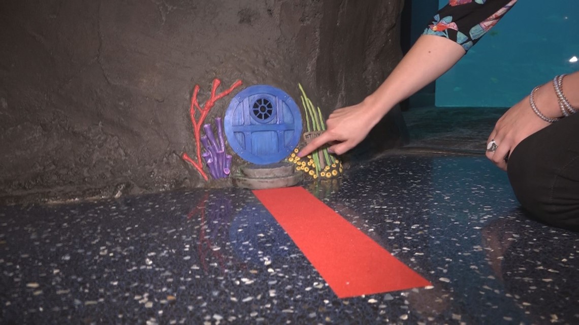 Tiny Door Opens Up New Wonder At Georgia Aquarium 11alive Com