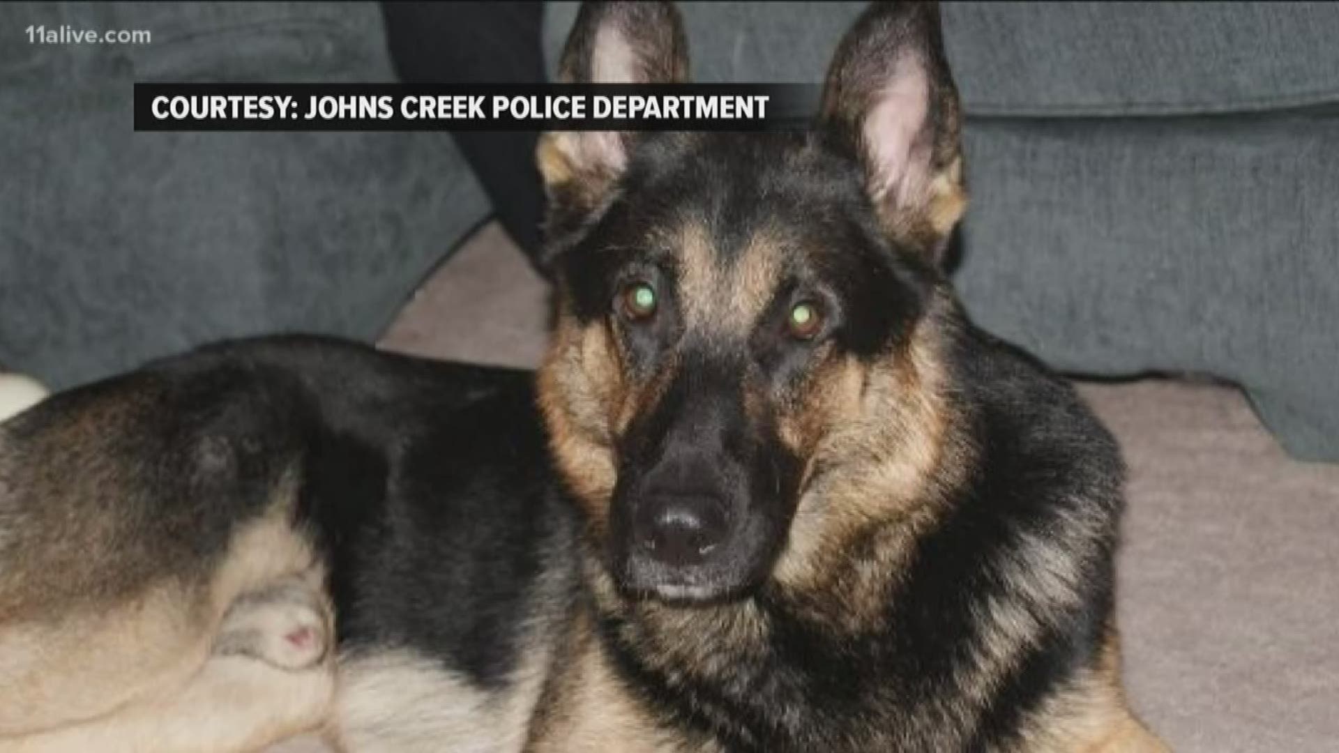 Johns Creek Police is honoring a K-9 officer they described as "a true warrior" and "an ultimate sheepdog" after learning of his death on Sunday.