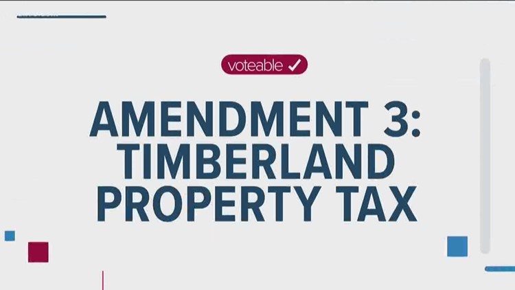 Here's what the Timberland Property Tax means if you vote for it