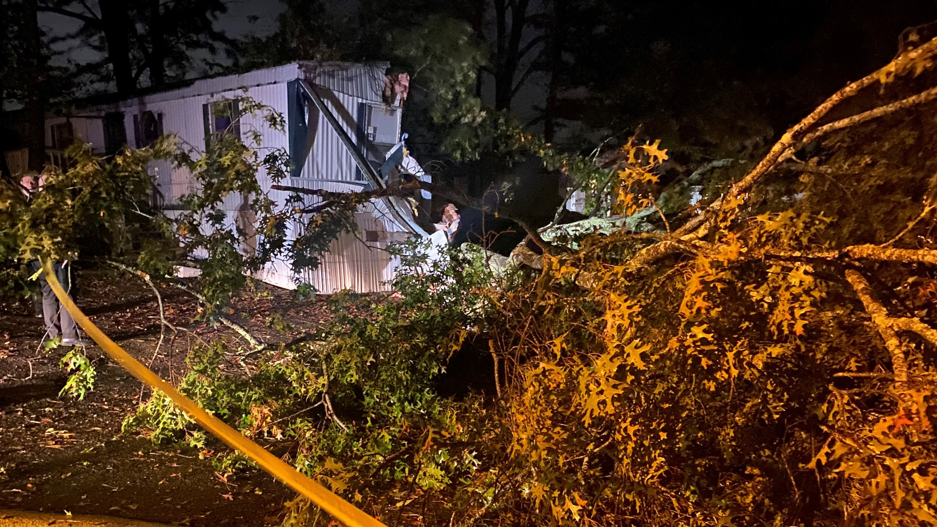 Tropical Storm Zeta | Man killed in Georgia when tree falls | 11alive.com