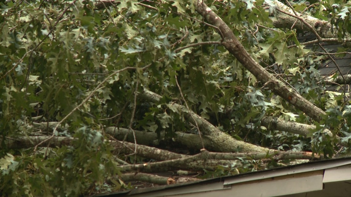 Fallen tree blocks wheelchair ramp into southwest Atlanta home ...