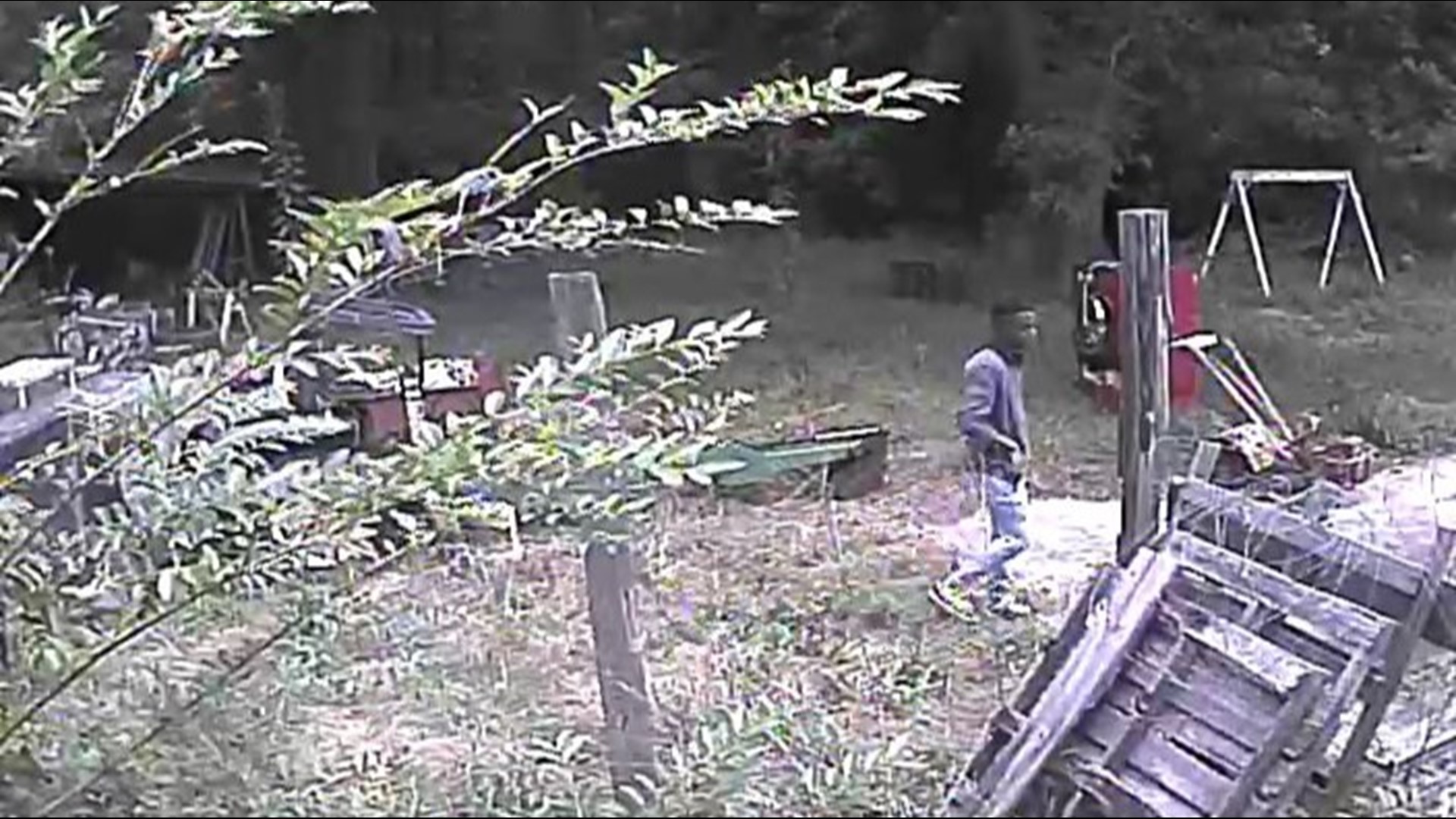 FBI arrests two more connected to violent Woodbury bank takeover