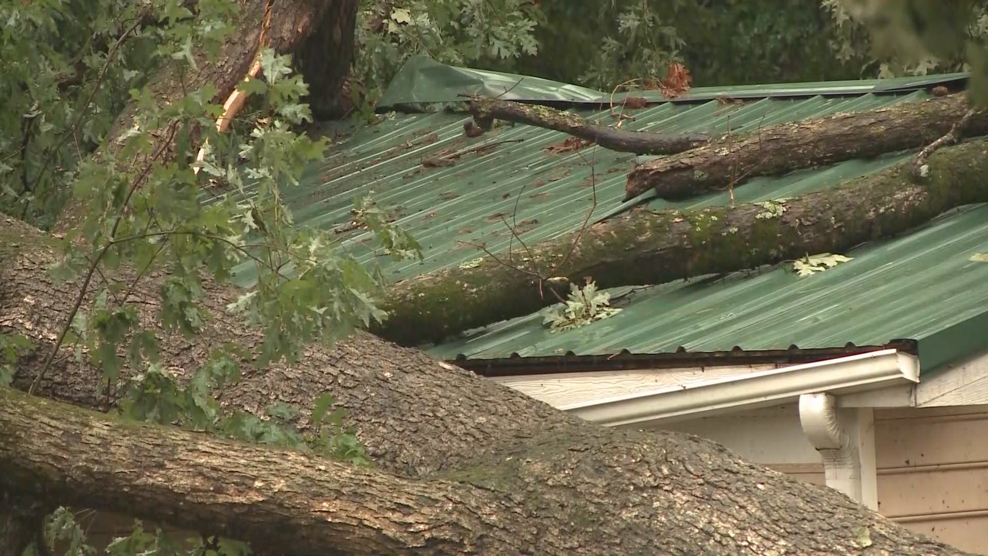 Confirmed tornado damages homes, downs trees in Social Circle | 11alive.com