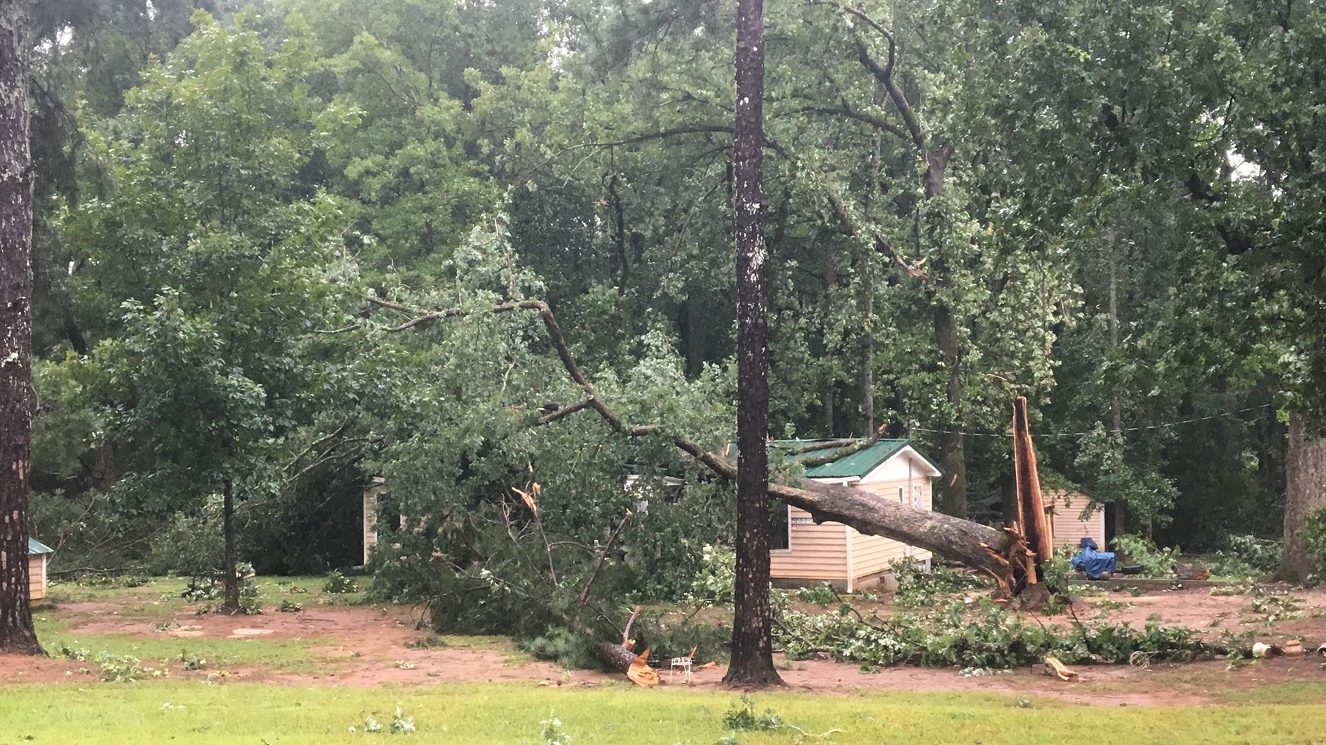 Confirmed tornado damages homes, downs trees in Social Circle | 11alive.com