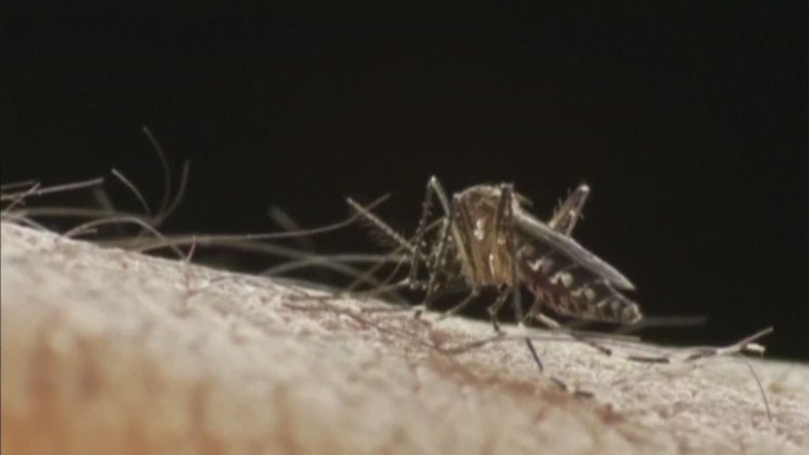 Why do mosquitoes attack some but leave others alone?
