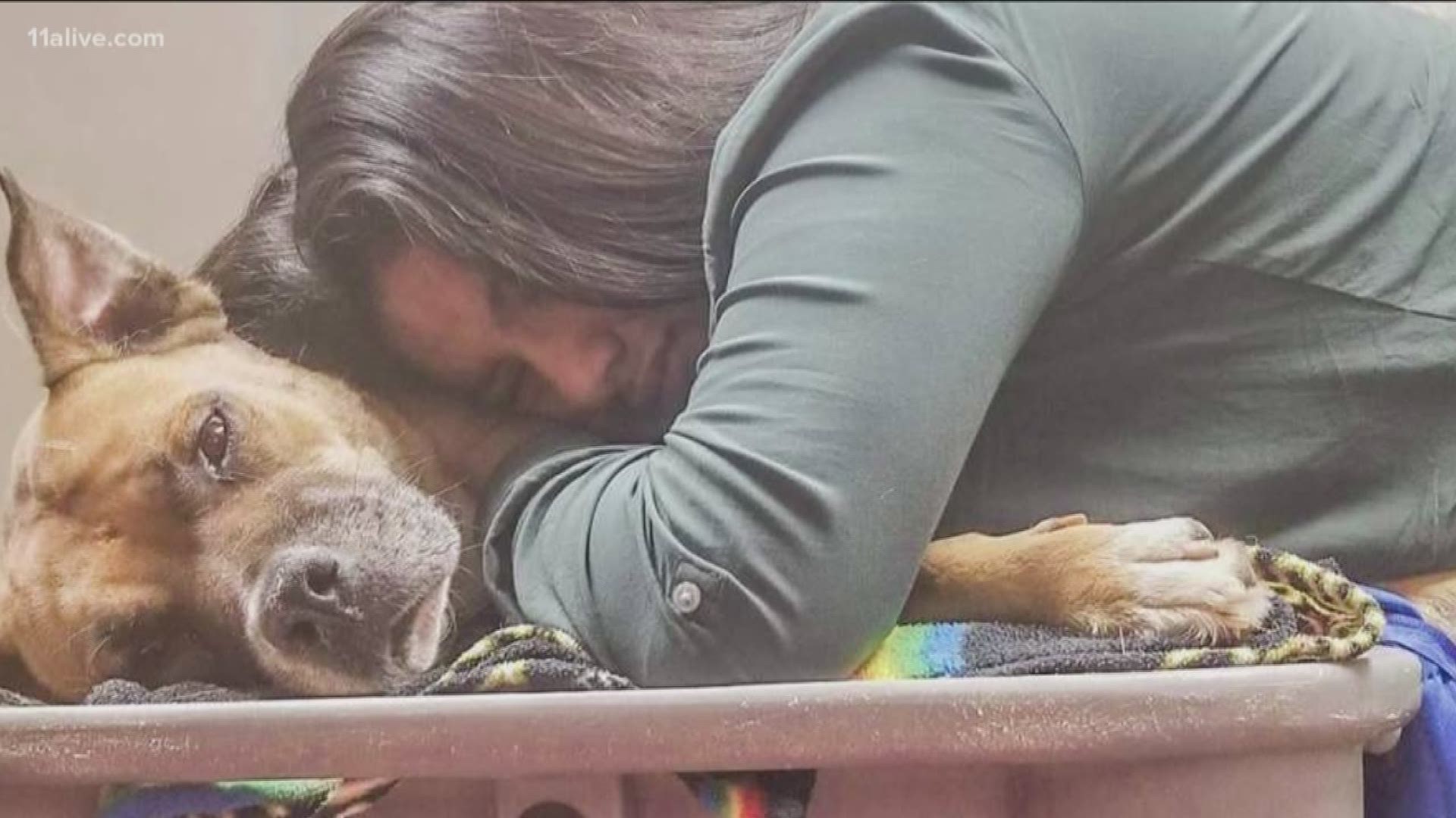 what to do when dog dies at home