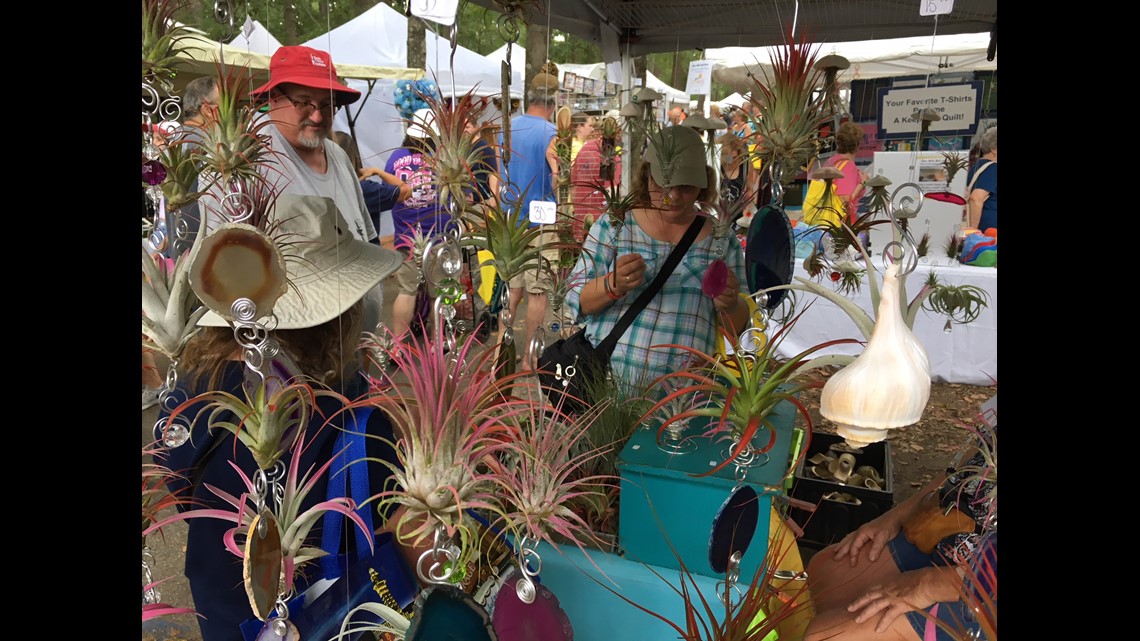 Stone Mountain Park’s Yellow Daisy Festival celebrating 50 years