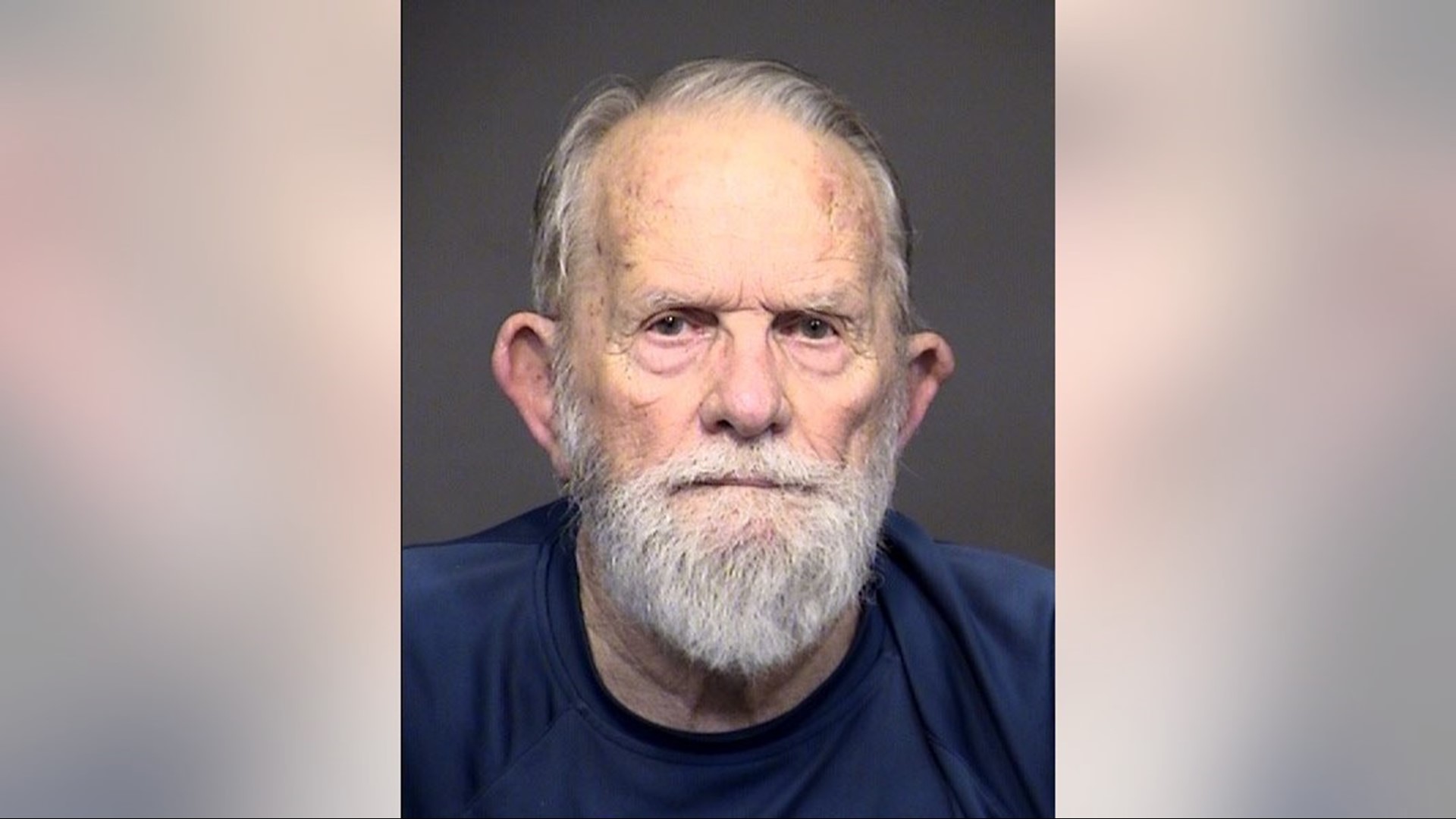 Child sex sting in Arizona leads to 24 arrests over six days | 11alive.com