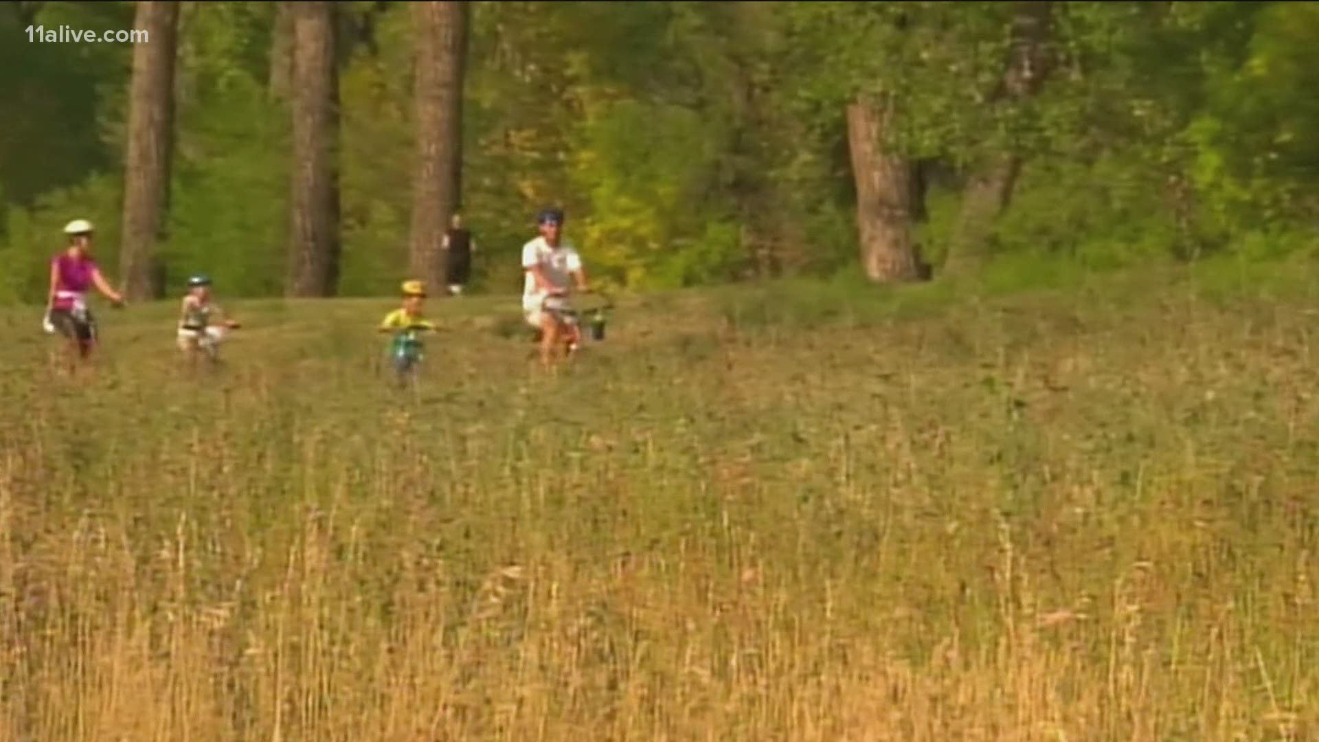 Pollen Count In Atlanta Extremely High 11alive Pollen count in atlanta extremely high 11alive