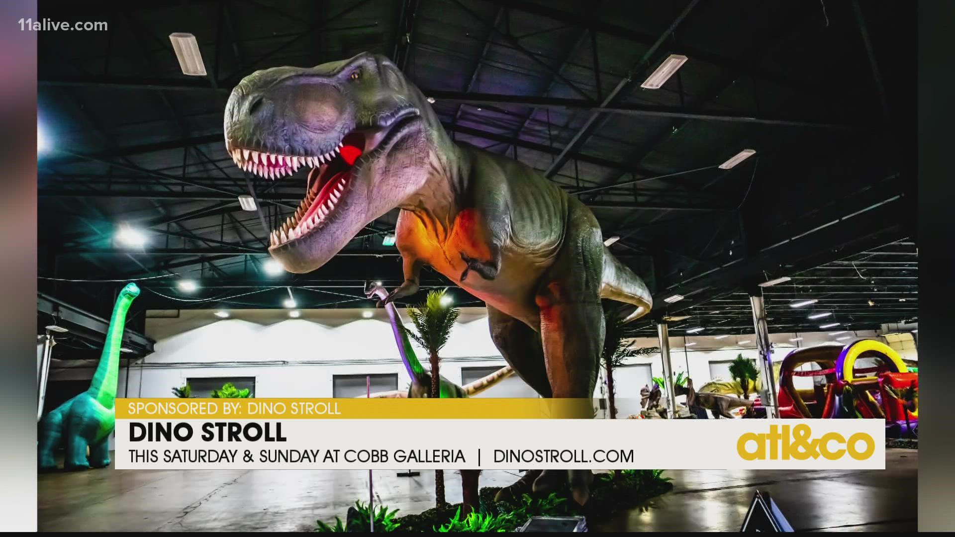 Check out the lifelike Dino Stroll tour for the ultimate walk-thru experience at Cobb Galleria this weekend! Use code "ATL&CO" for a 10% discount at dinostroll.com