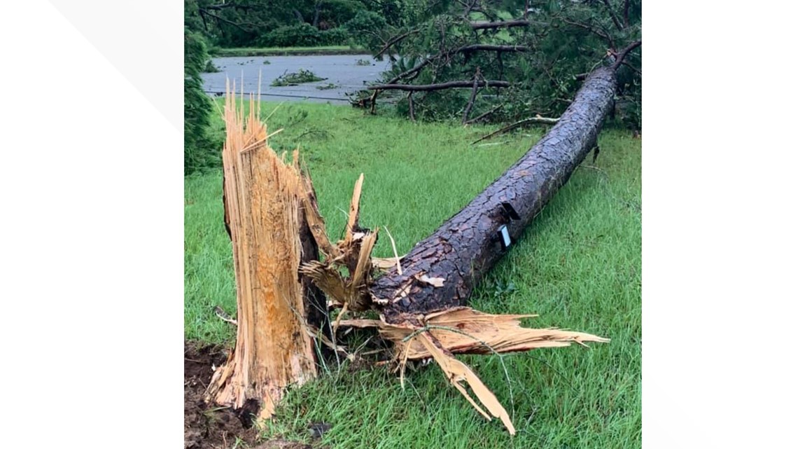 Photos Downed Trees Power Lines And Flooding Heavy Rain Severe