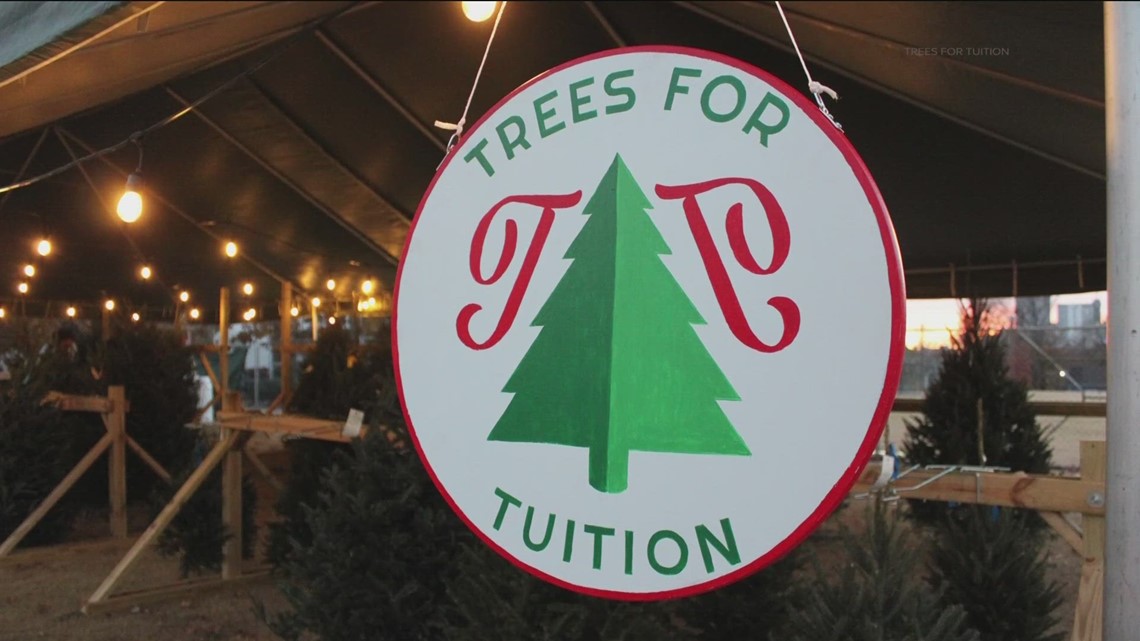 How your Christmas tree purchase can help students with their tuition
