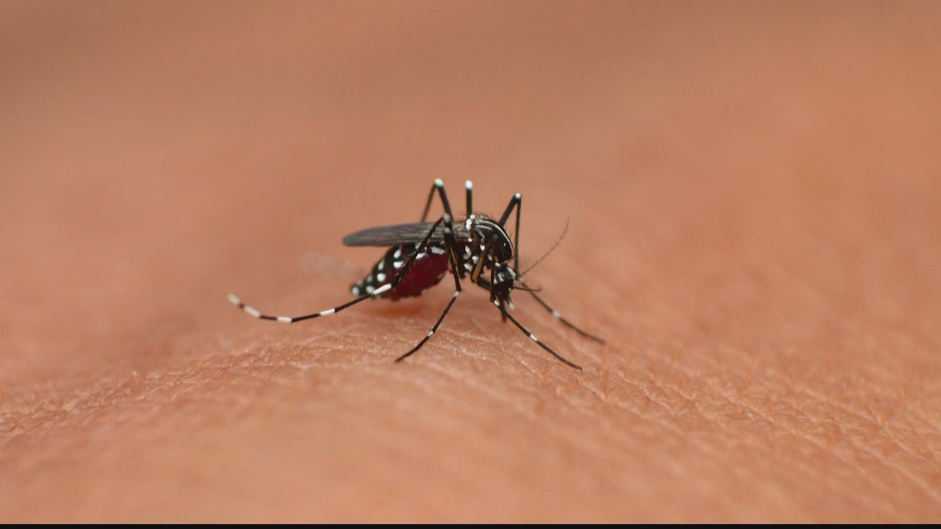 Four mosquito traps tested positive for the virus, county health leaders said.