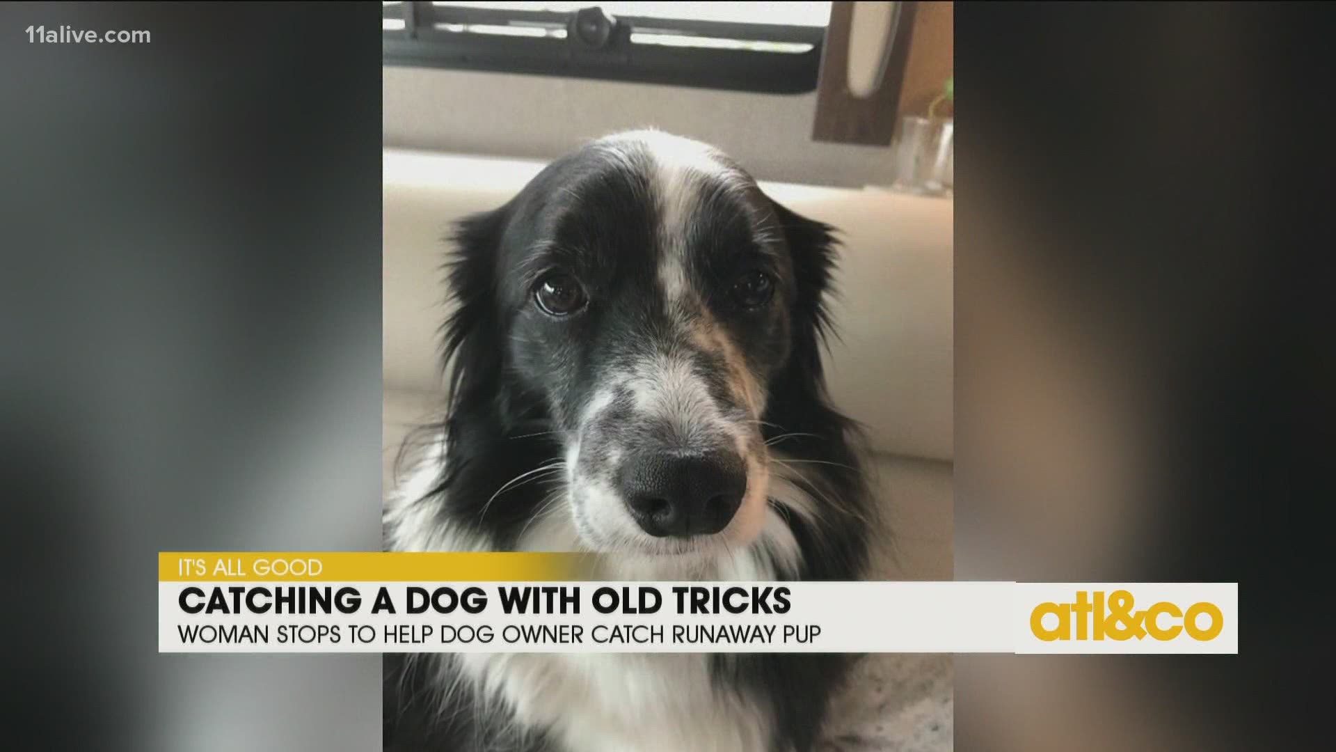 Cara Kneer shares a local viewer's sweet story about her runaway dog and the saving grace of saltines!