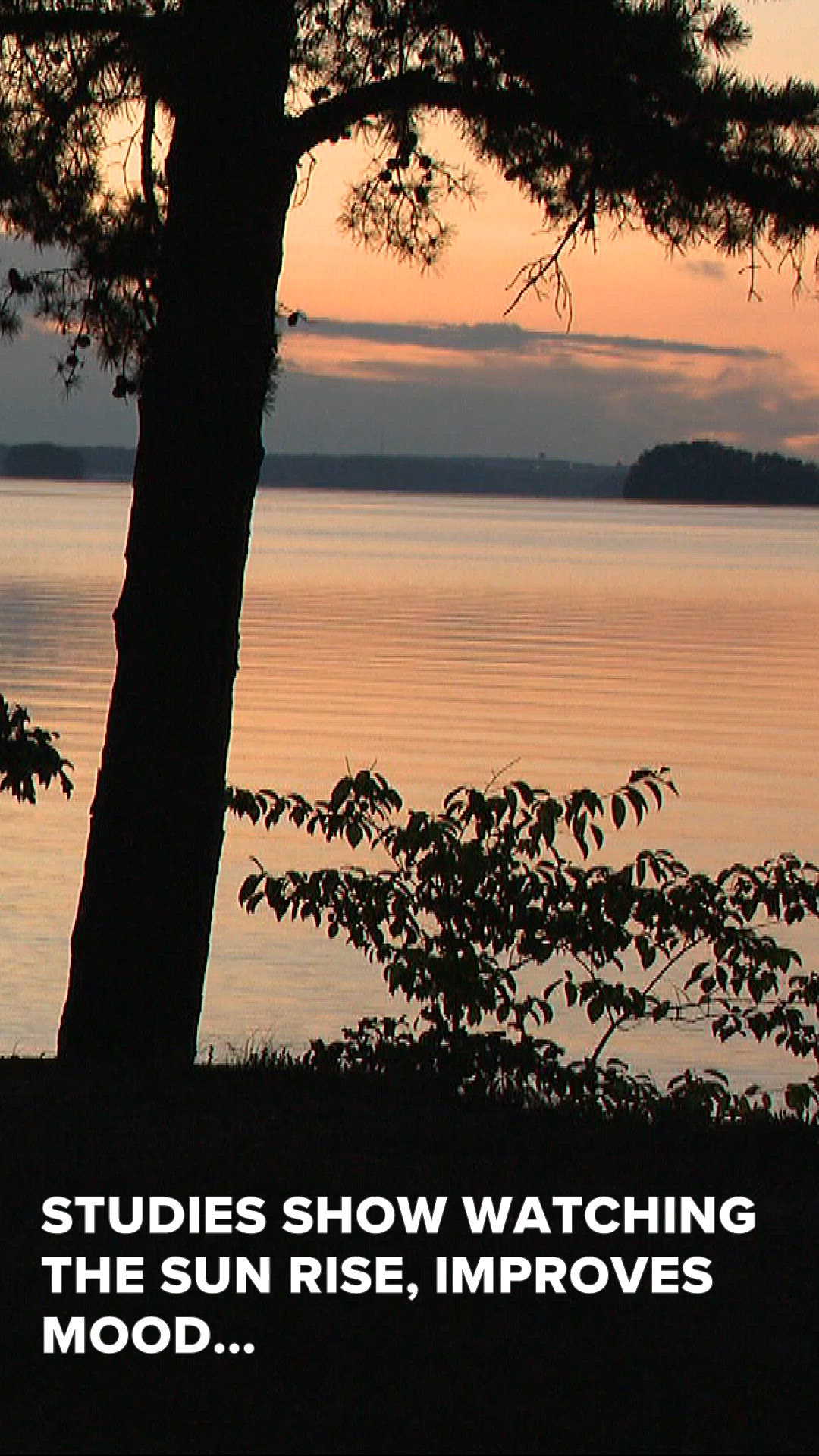 Sunrise over Lake Lanier with some health information.