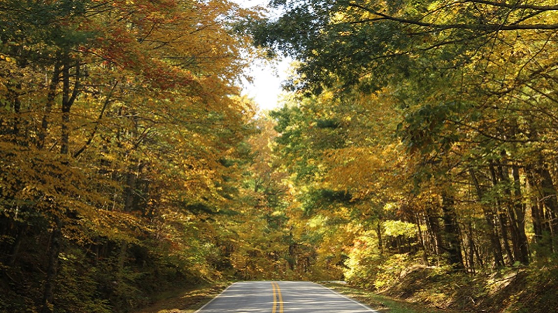 Fall foliage peak begins this weekend in The best day trips