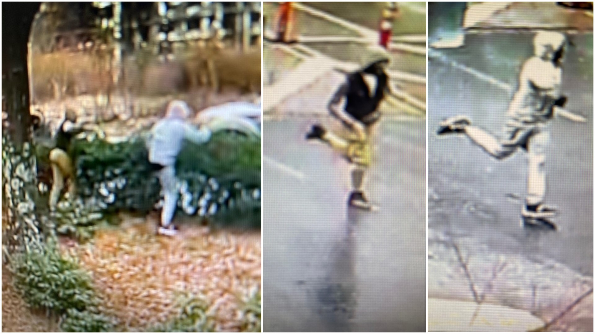 Lenox Mall shooting update Surveillance photos released