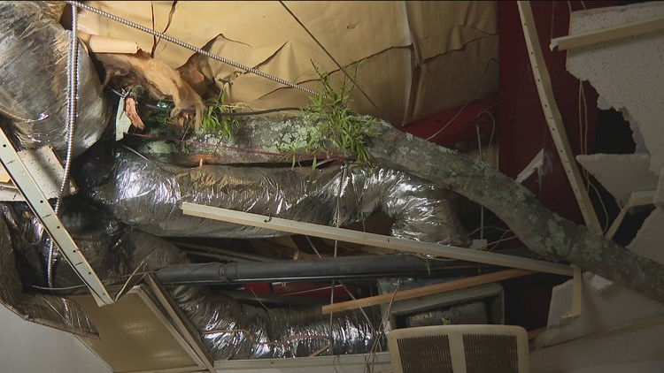 Strong winds, heavy rain knocks down trees creating damage for residents in Rome