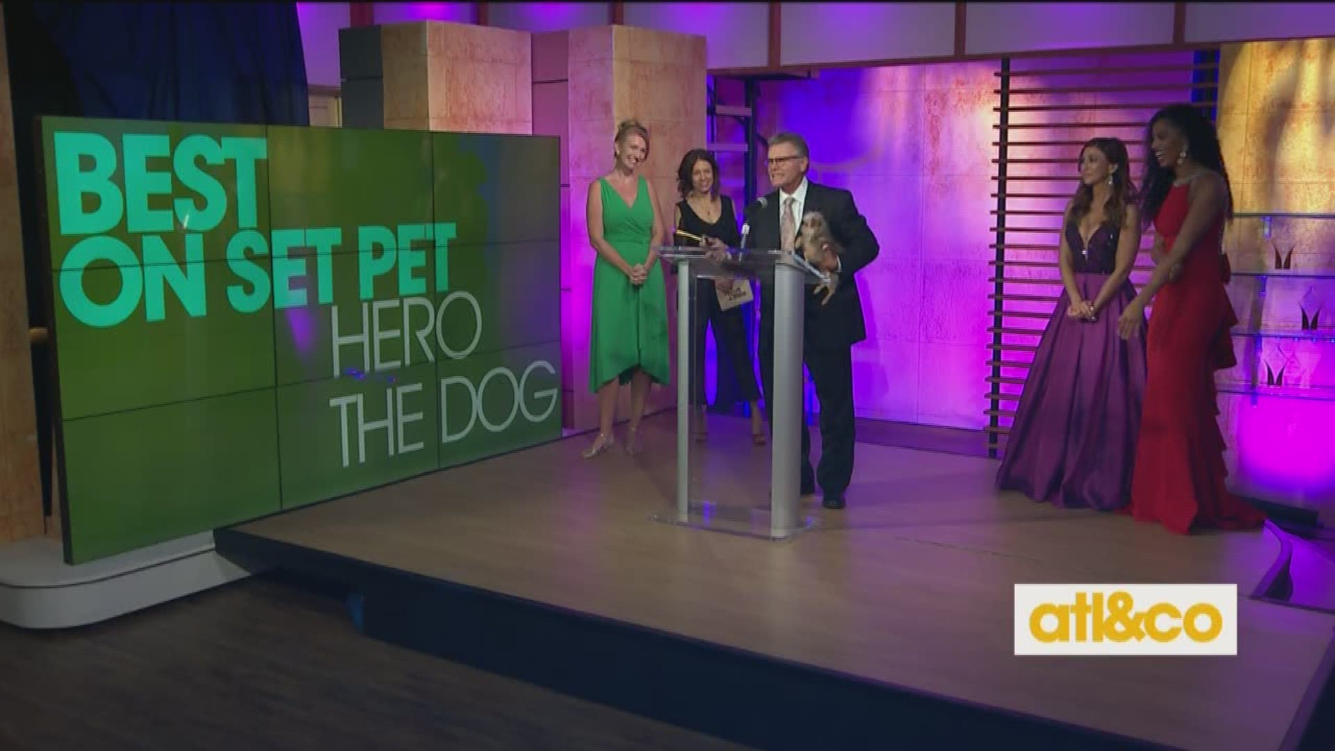 Congratulations to Hero the Dog on his A-Scene Award!