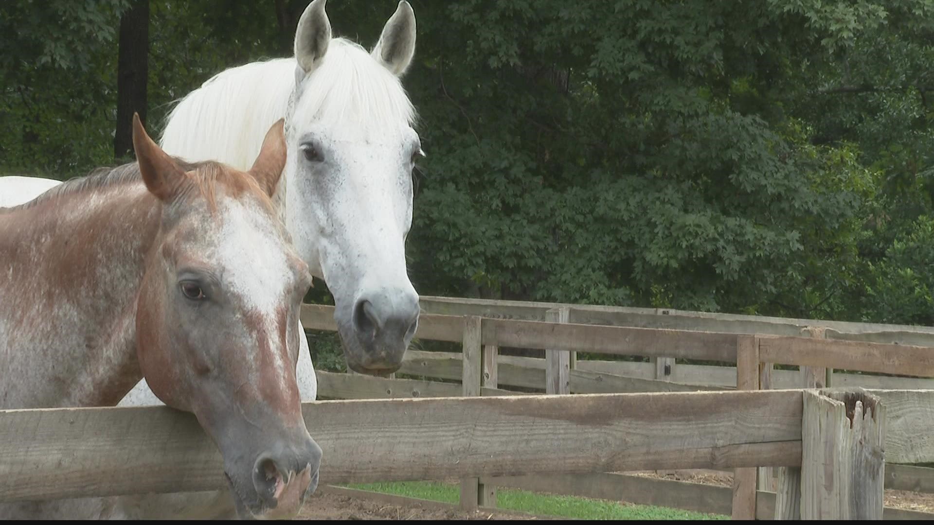 Leaders broke ground for its Healing Through Horses campaign.