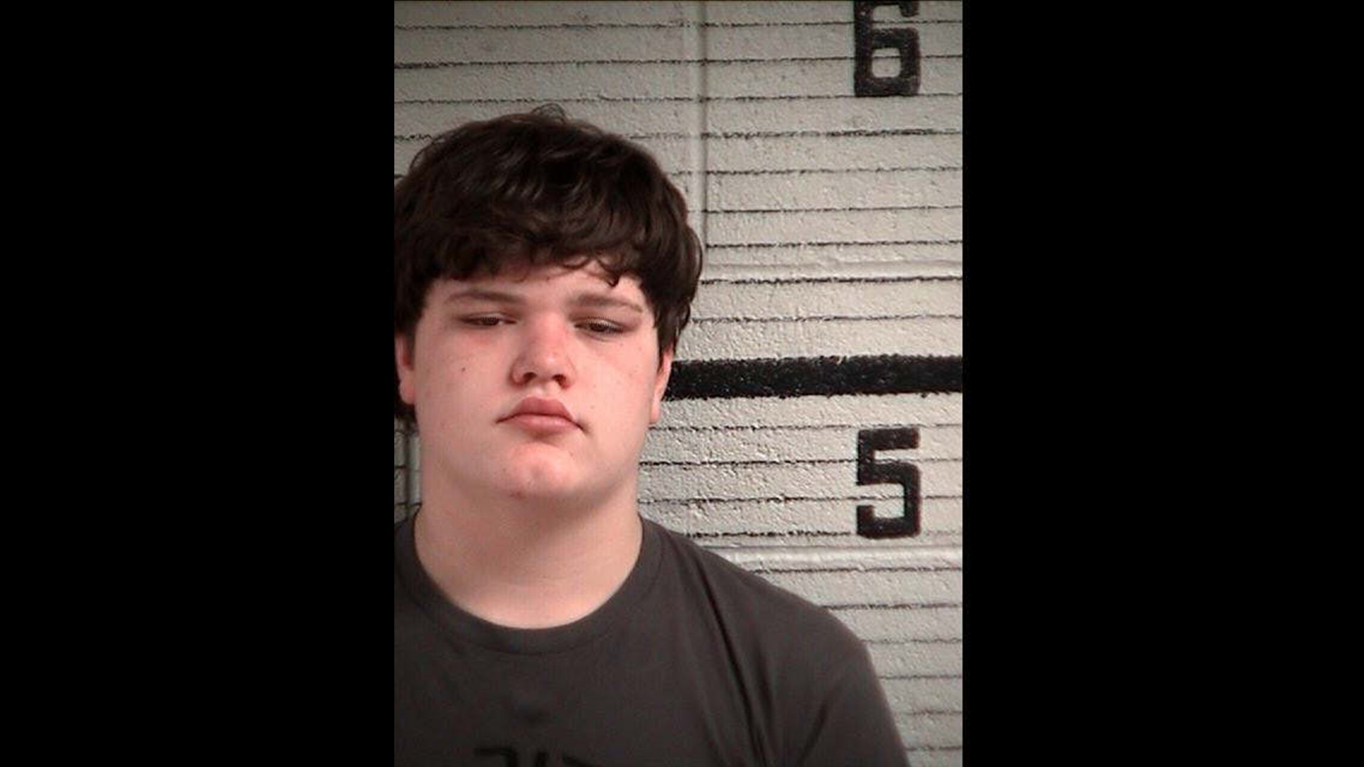 Four teens arrested in Fannin County murder