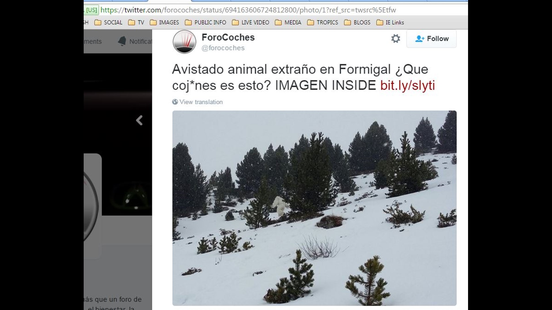 "Yeti" spotted at Spanish ski resort