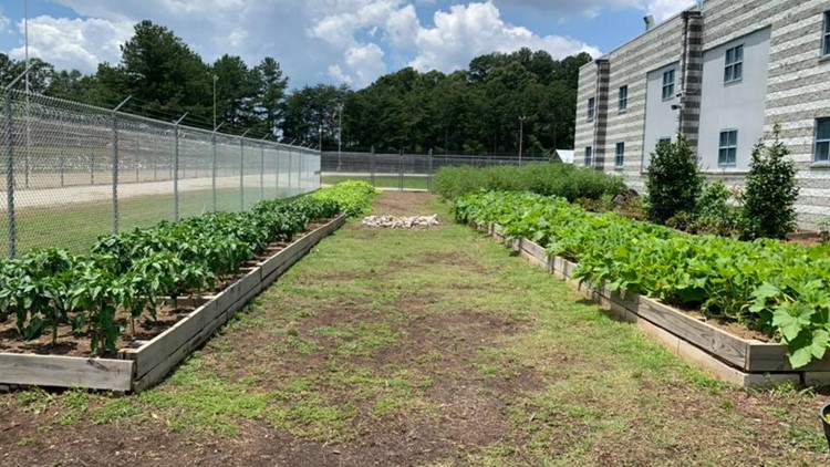 Inmates Learning Gardening In Gwinnett