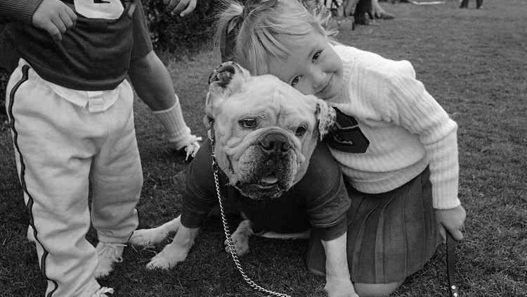 The Story of This Marine - Who Raised a Georgia Bulldog