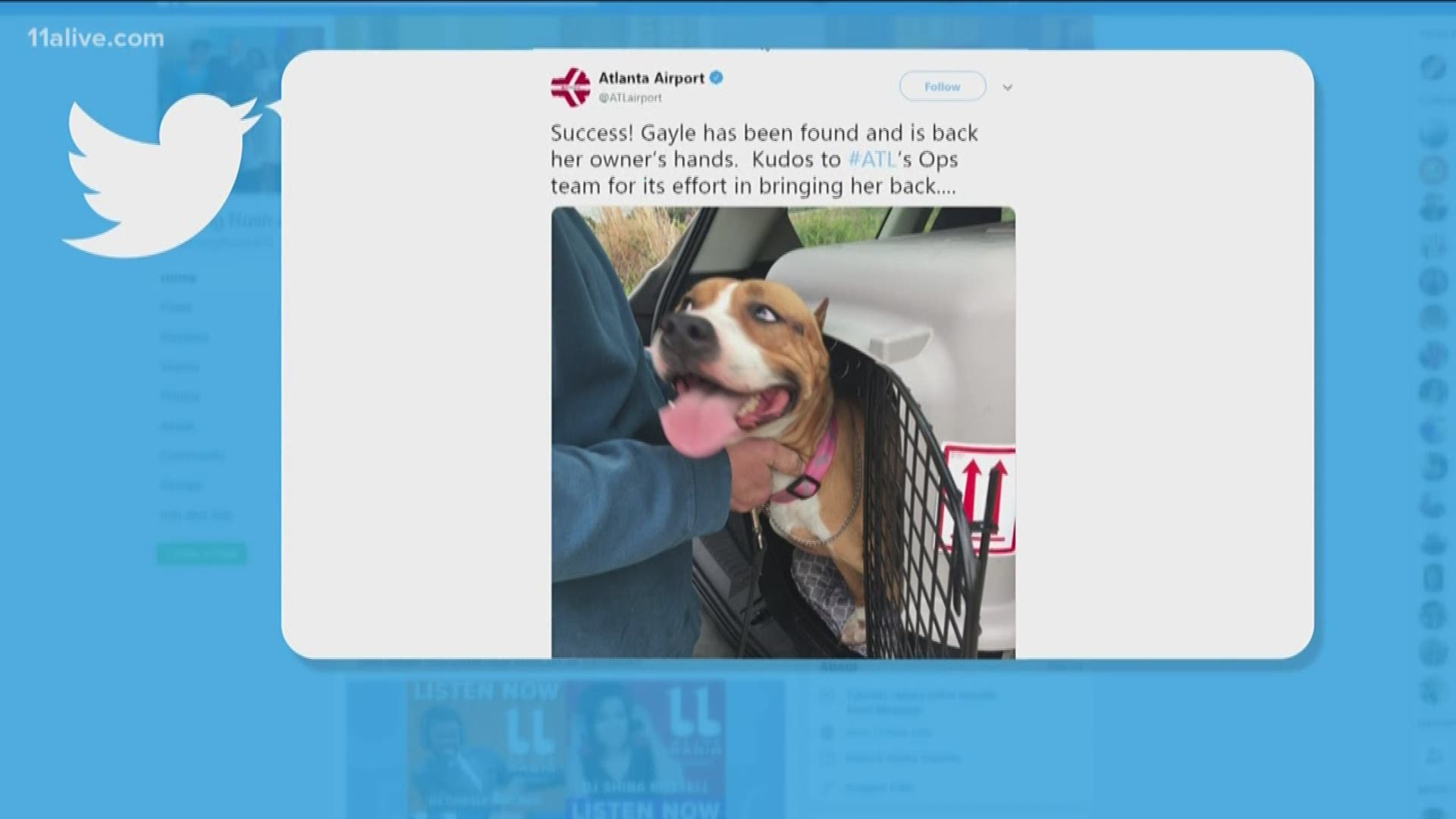 The Atlanta airport tweeted that Gale is back in her owner's hands.
