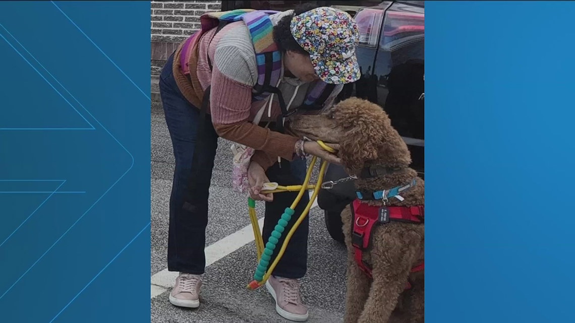 Veteran's missing service dog Bruno found dead along Atlanta interstate ...