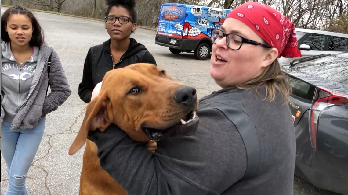 A Reality TV Star, a Celebrity Dog and a Local TV Host Join Forces in  Houston to Help Animals in Need