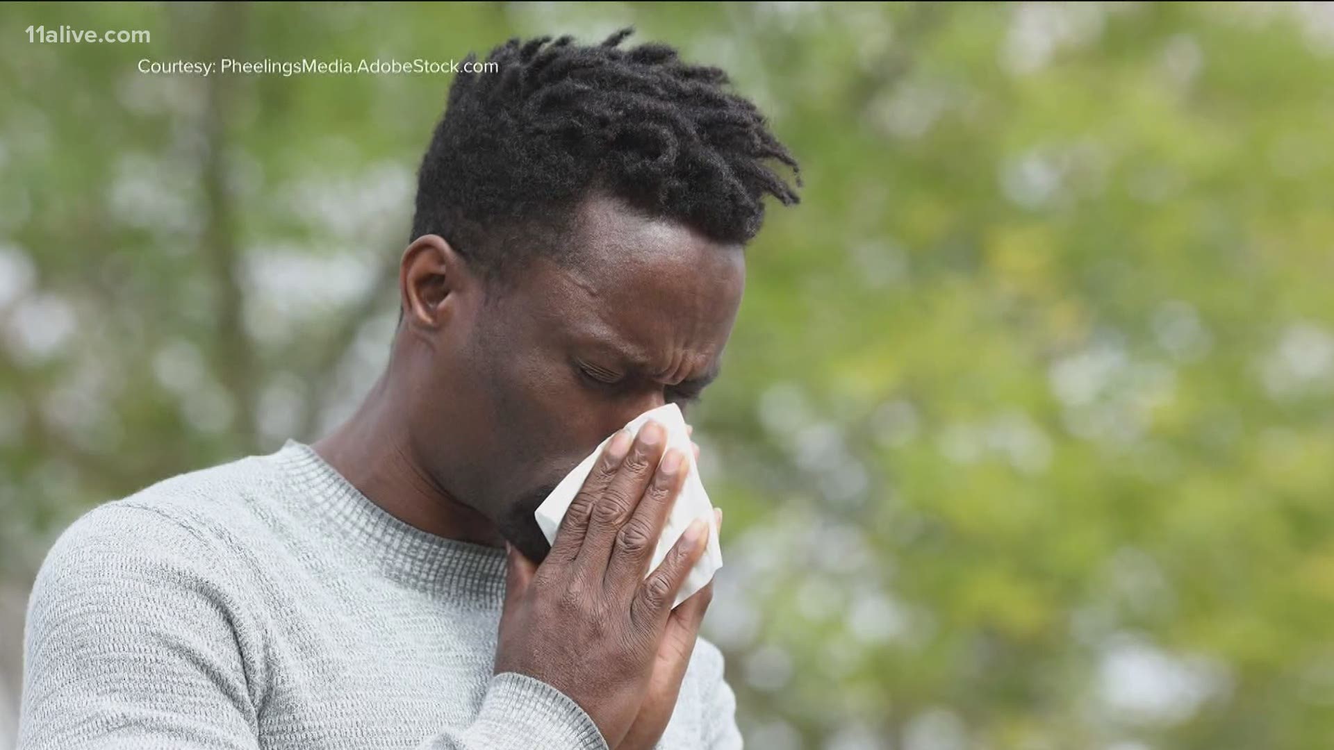 Fall allergies are in full swing for many