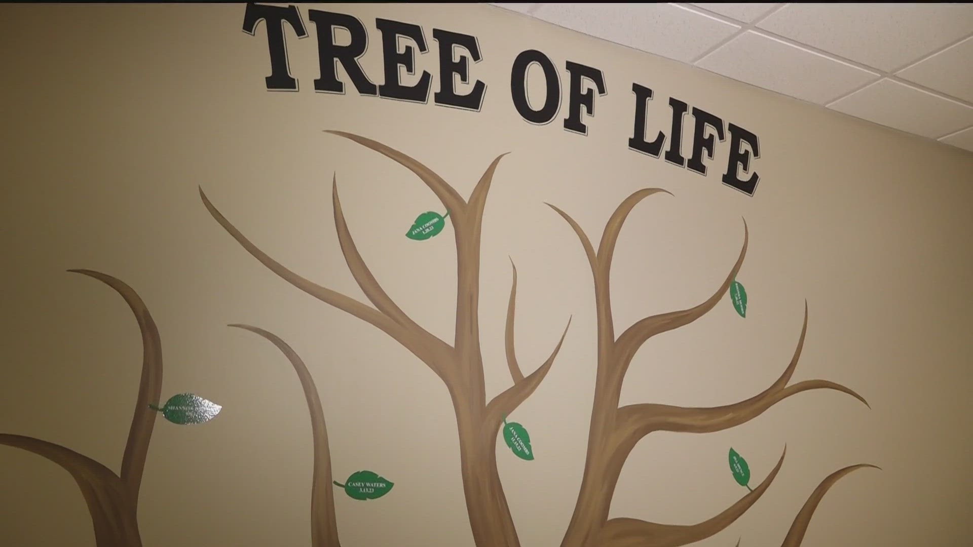 Each leaf on the 'Tree of Life' represents a life-changing call. They're looking forward to seeing how it grows.