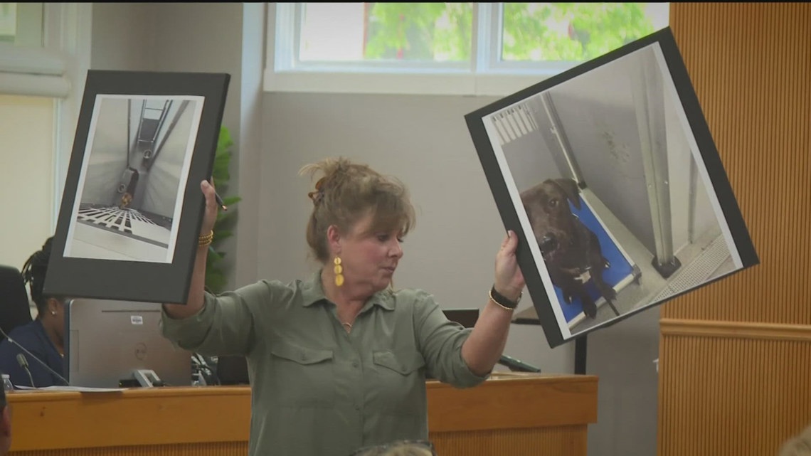 Fayette Co., residents say new animal shelter is harming animals - Vimarsana News