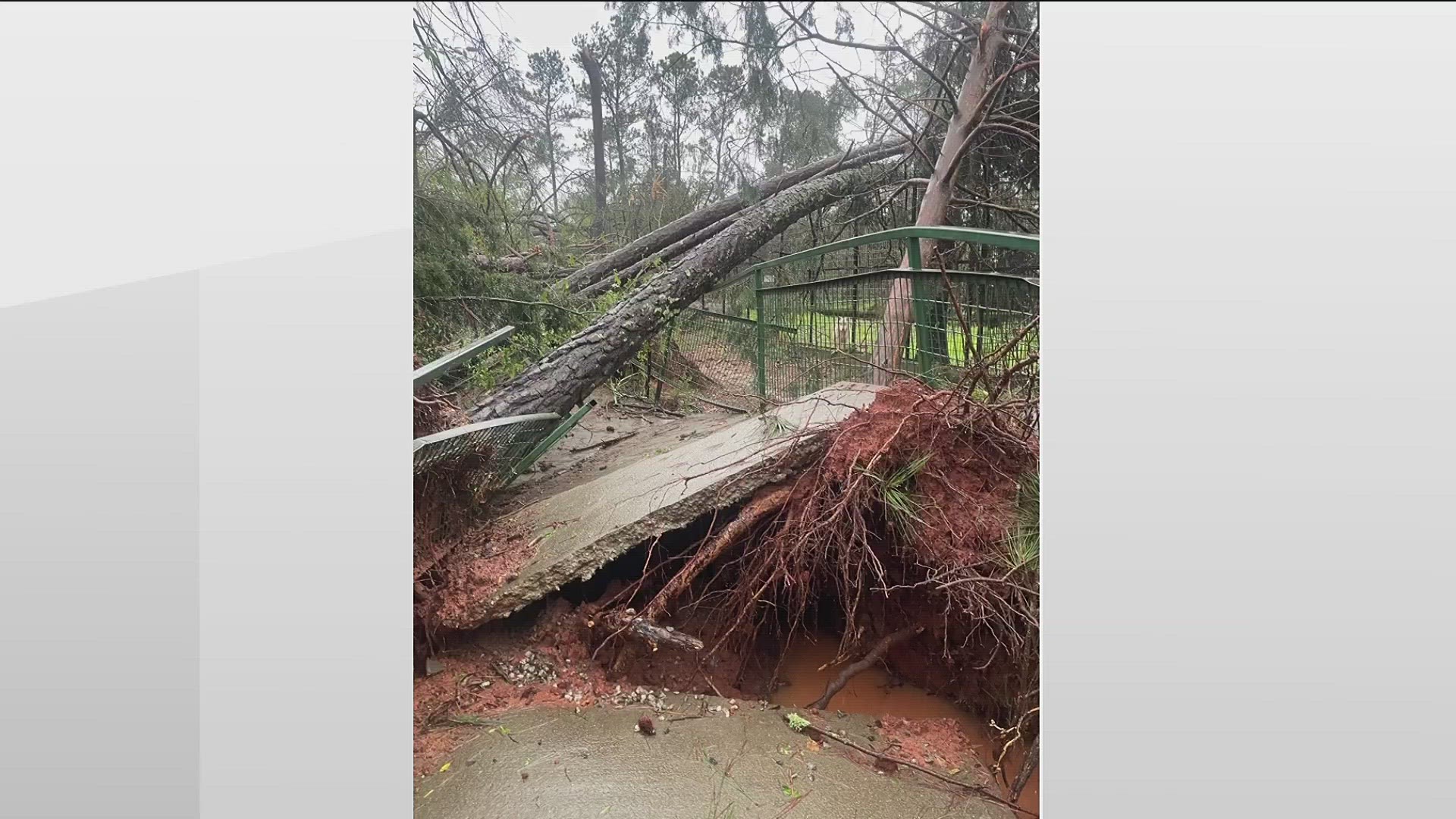 The drive-thru safari was damaged after a tornado blew through Troup County back in March.