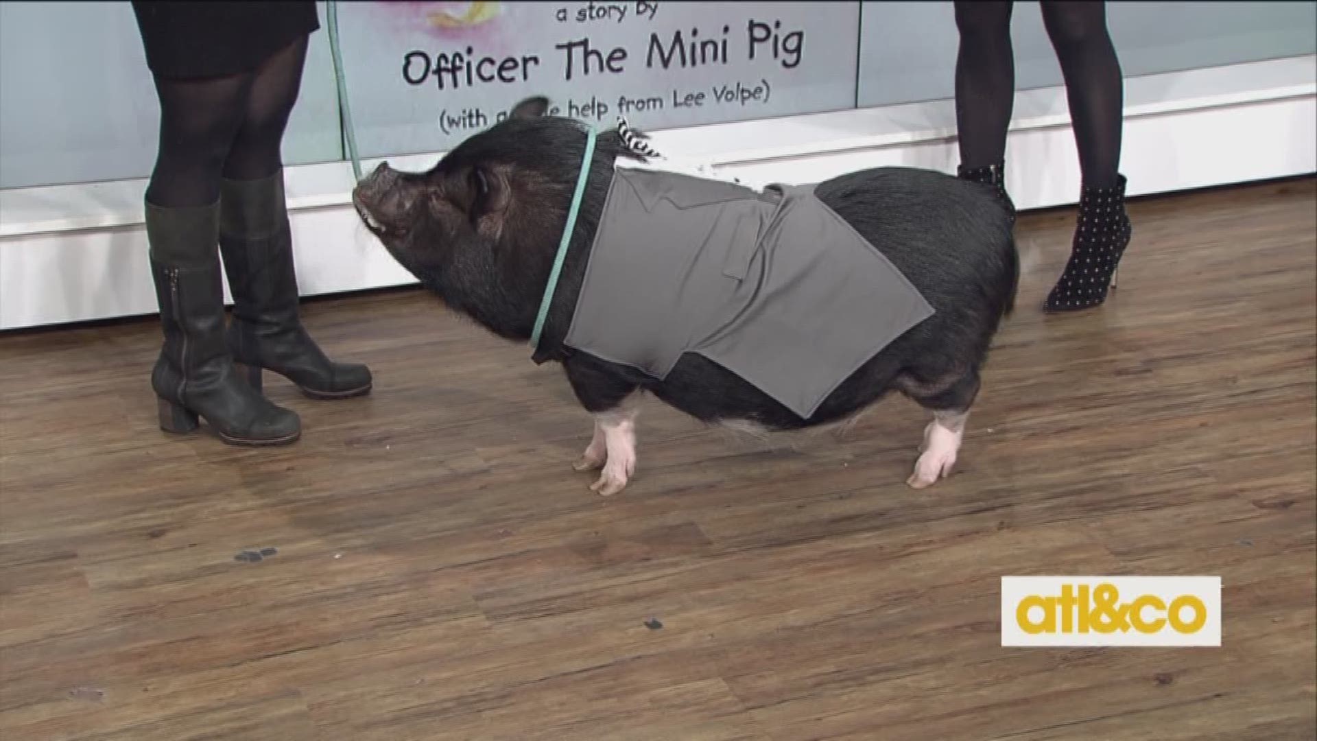 'This Is Me' with Officer the Mini Pig